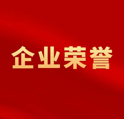 2024新澳门历史记录查询